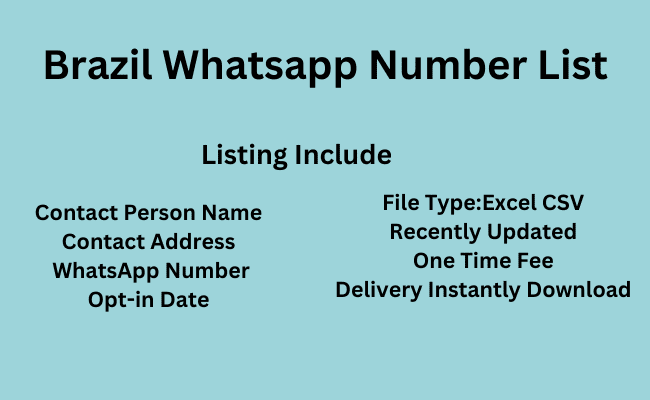 Brazil WhatsApp Number List