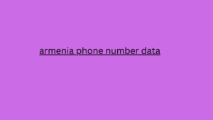 armenia phone number data 